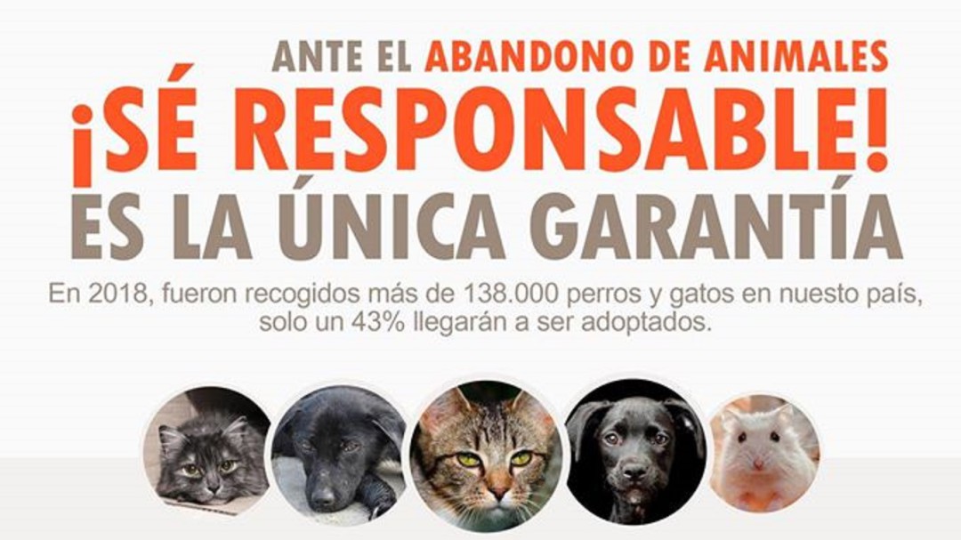 El Ayuntamiento de Socuéllamos recuerda, en San Antón, su campaña contra el abandono y el maltrato animal
