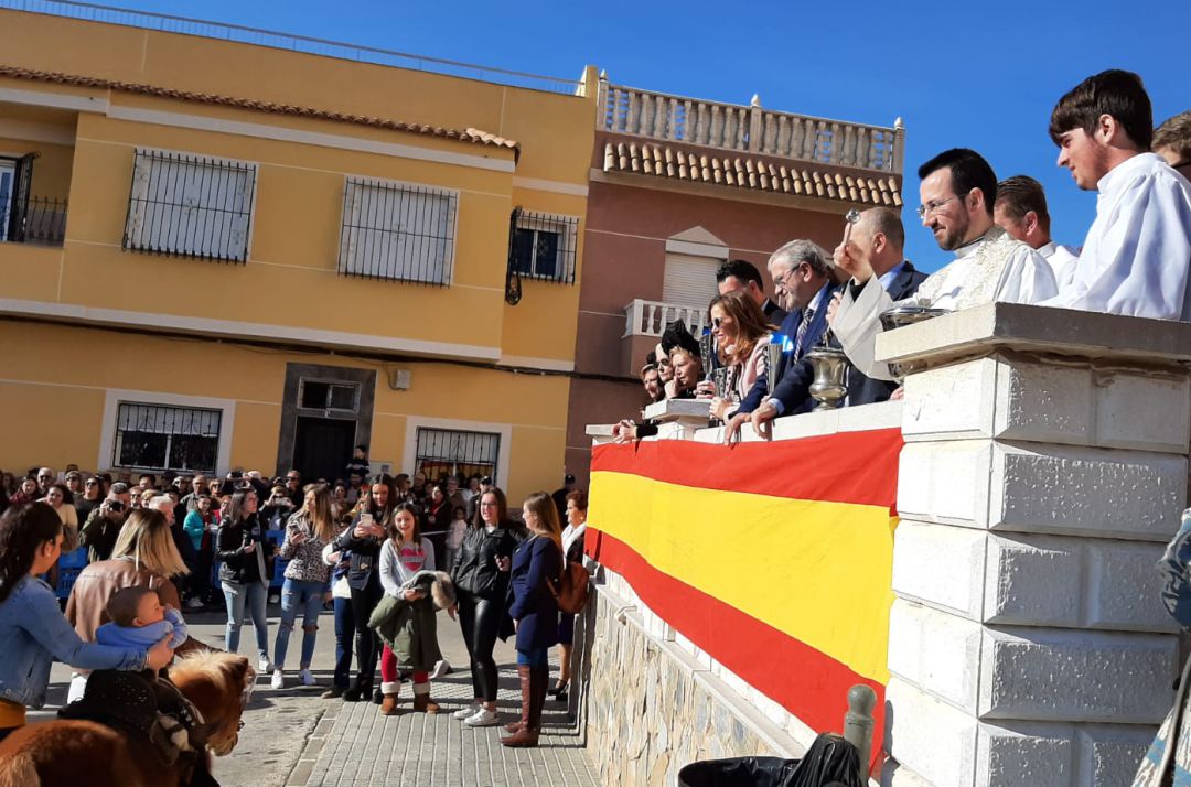 La tradicional bendición a los animales La tradicional bendición a los animales