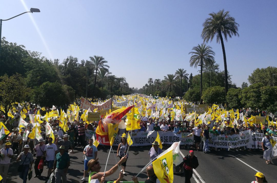 Manifestación de agricultores el pasado verano en Sevilla. Manifestación de agricultores el pasado verano en Sevilla.
