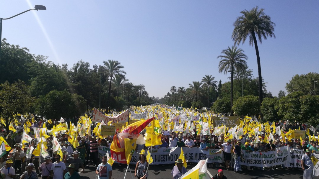 Agricultores y ganaderos vuelven a las calles