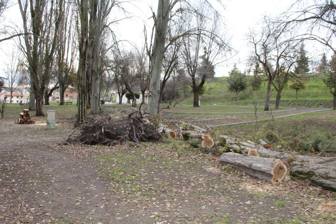 Tala de árboles en el Parque de la Huerta el Duque de Cuéllar Tala de árboles en el Parque de la Huerta el Duque de Cuéllar