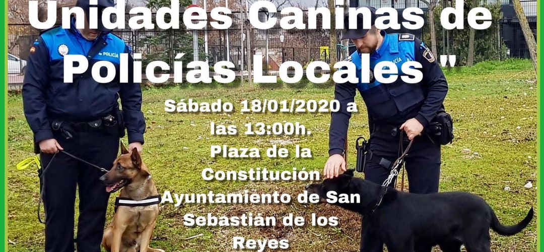 Cartel de la Exhibición Canina Cartel de la Exhibición Canina