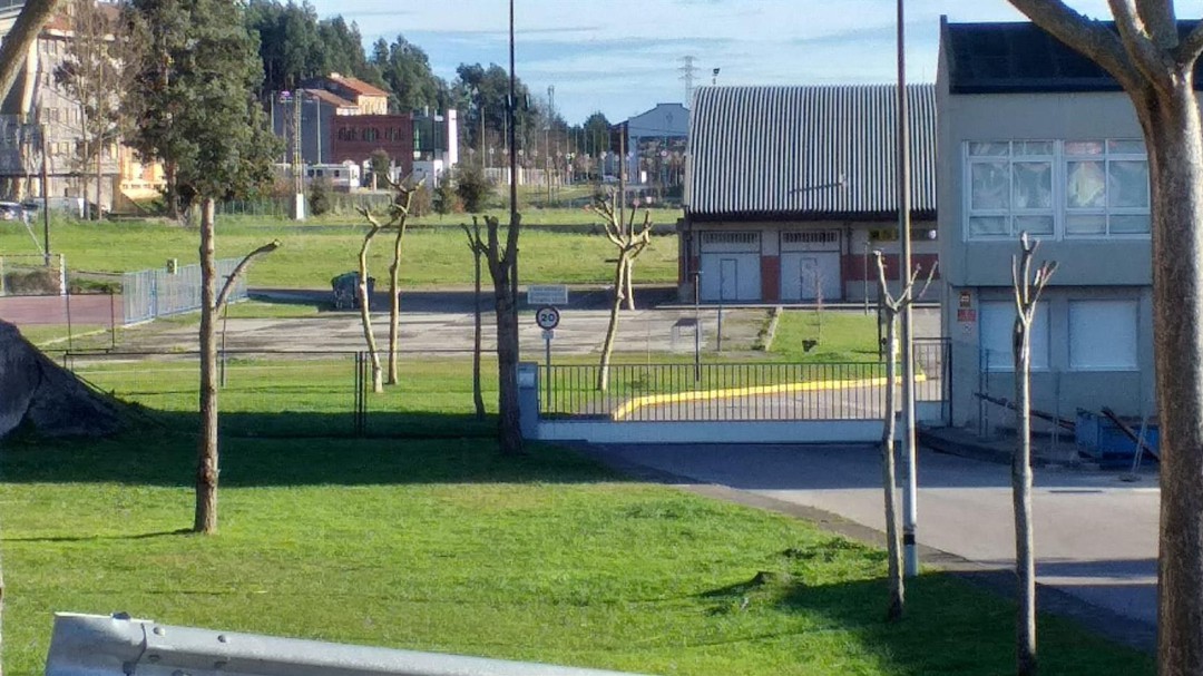 Asociaciones denuncian la poda "indiscriminada" de árboles en Peñacastillo