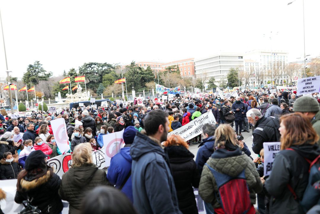 Unos 600 vecinos de Vallecas concentrados a las puertas del Palacio de Cibeles Unos 600 vecinos de Vallecas concentrados a las puertas del Palacio de Cibeles