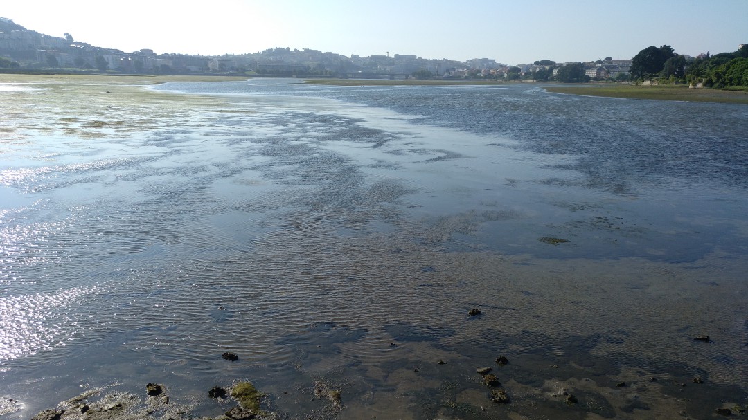 El BNG asegura que el compromiso del Gobierno con la ría es firme