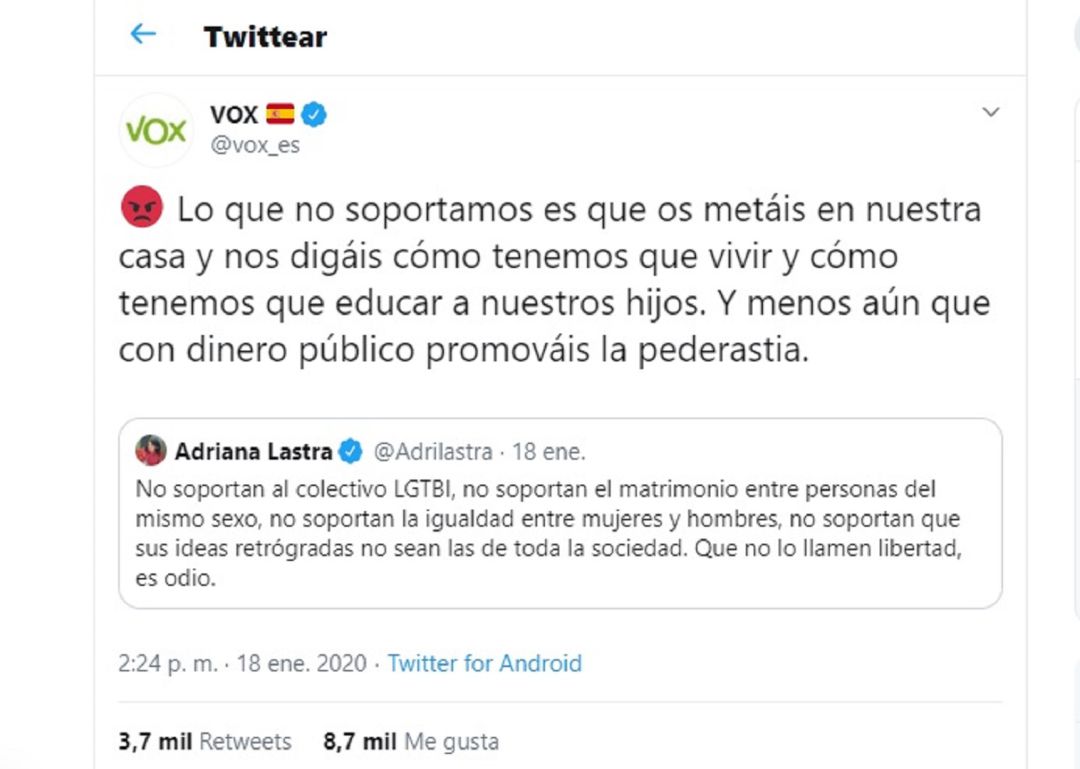 Denuncian a Vox por vincular las leyes LGTBI con la pederastia Denuncian a Vox por vincular las leyes LGTBI con la pederastia