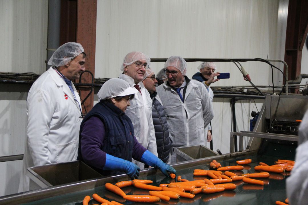 El consejero de Agricultura,Jesús Julio Carnero, conoce el proceso de lavado de zanahoria en la cooperativa Glus I en Sanchonuño El consejero de Agricultura,Jesús Julio Carnero, conoce el proceso de lavado de zanahoria en la cooperativa Glus I en Sanchonuño