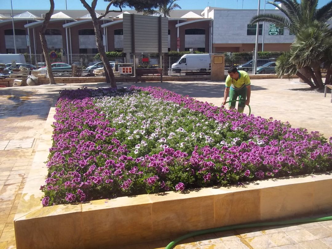 Cespa recurre la adjudicación de Parques y Jardines. Cespa recurre la adjudicación de Parques y Jardines.