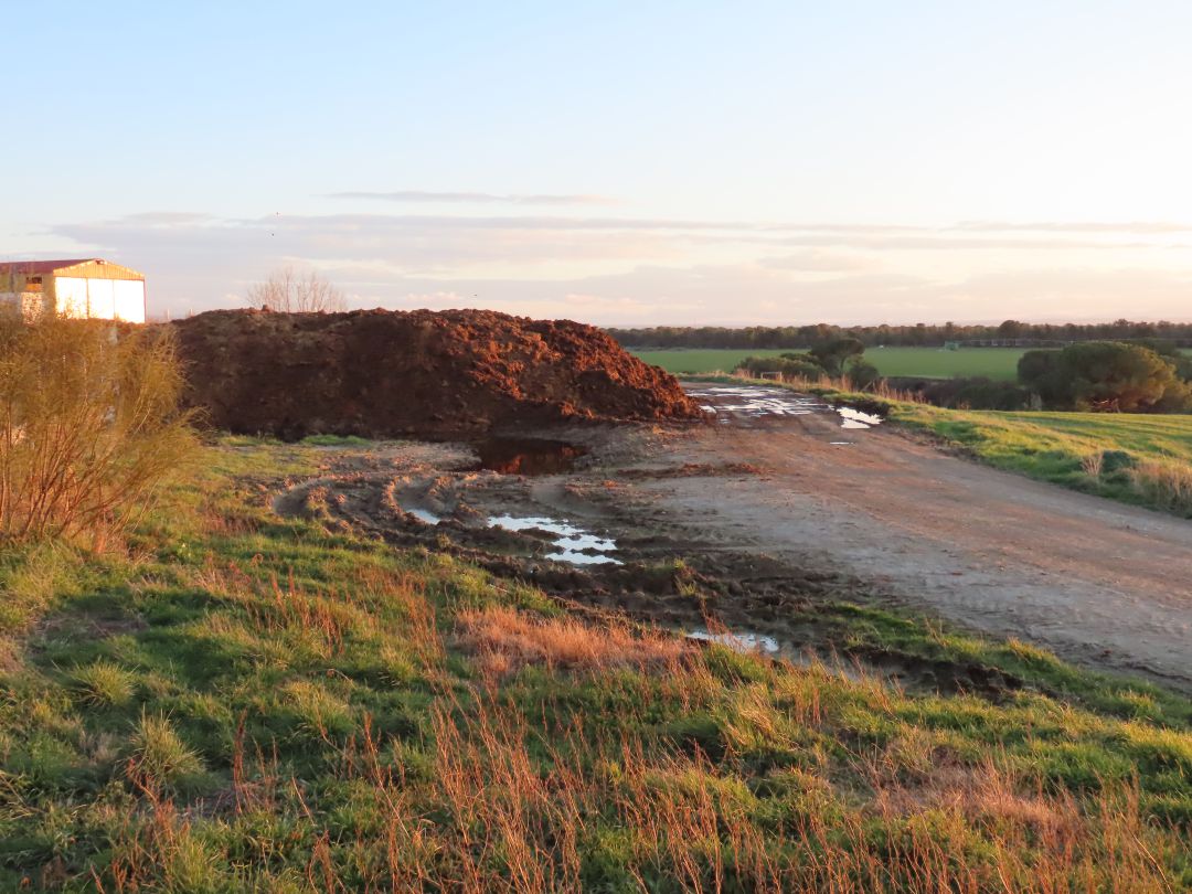 Purines depositados cerca de una granja de cerdos Purines depositados cerca de una granja de cerdos
