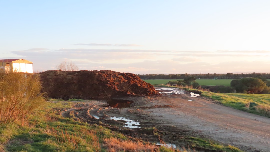La Asociación La Alhondiga denuncia la contaminación por purines en Espinosa de los Caballeros