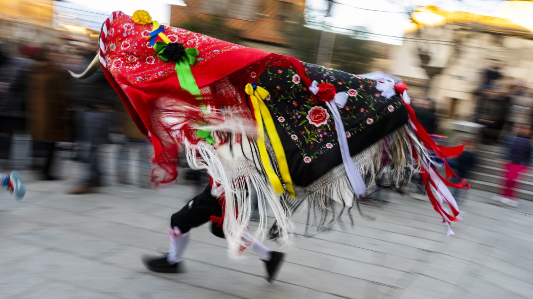 Pedrezuela celebra su tradicional Fiesta de la Vaquilla