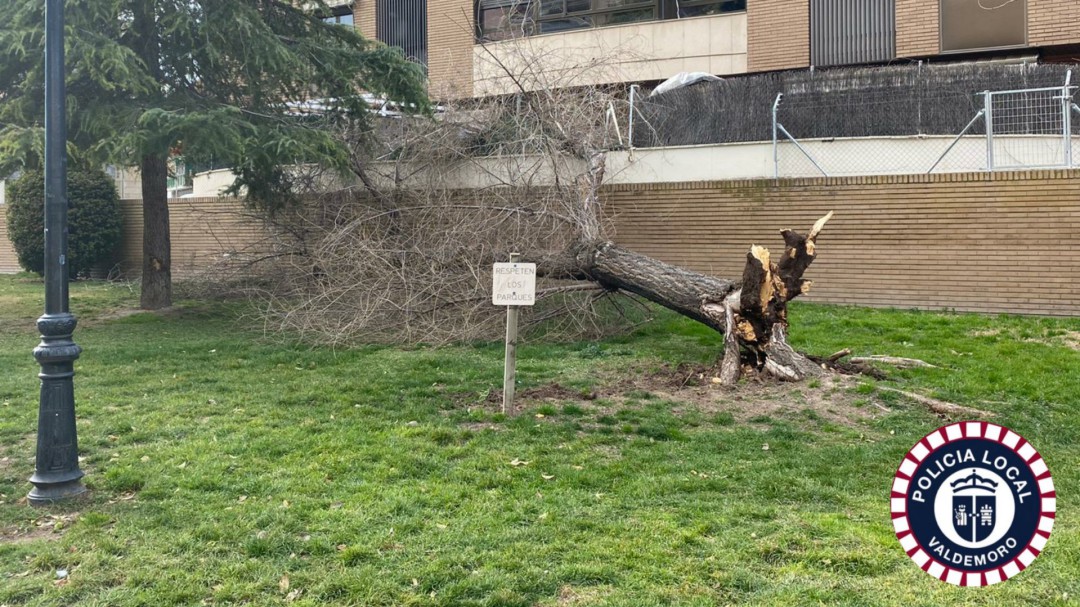 Fin de semana de viento y árboles caídos en el sur de Madrid