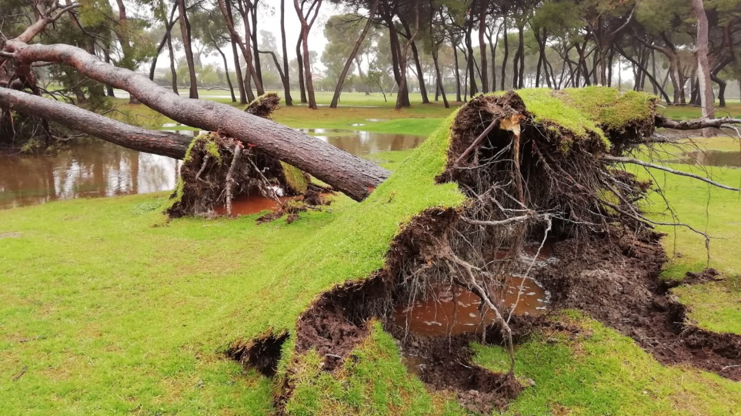 Imágenes del temporal marítimo en el Grao de Castelló