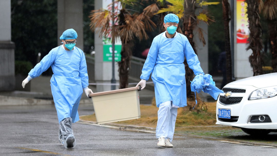 María Neira (OMS): "Es poco probable que el coronavirus de China llegue a España"