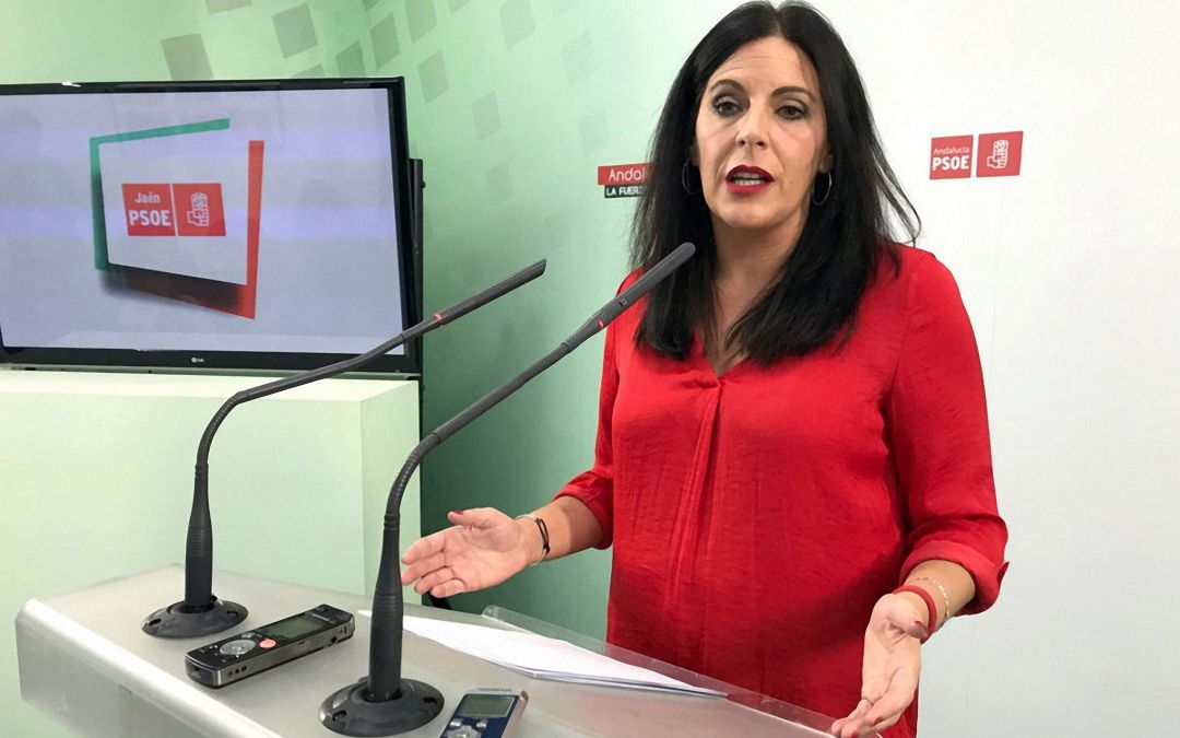 La coordinadora del grupo parlamentario socialista, Ángeles Ferriz. La coordinadora del grupo parlamentario socialista, Ángeles Ferriz.