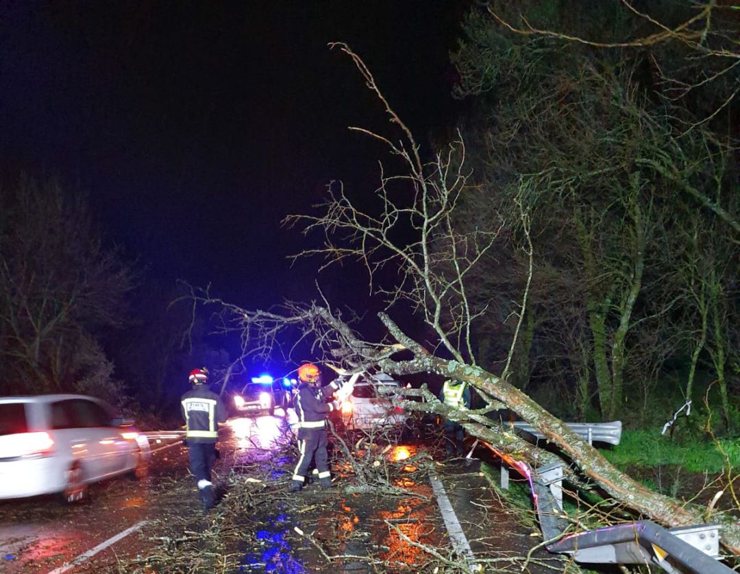 La Agrupación de Bomberos Voluntarios retiró los restos del árbol de la calzada La Agrupación de Bomberos Voluntarios retiró los restos del árbol de la calzada