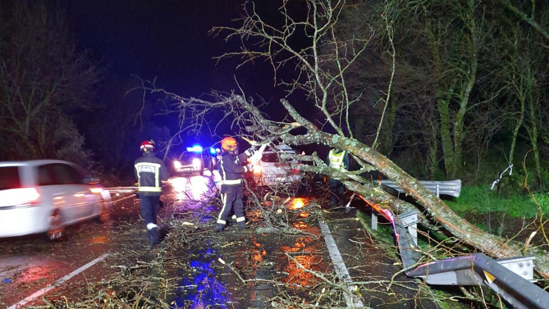 La caída de un árbol por el viento provoca un accidente en la CL-501