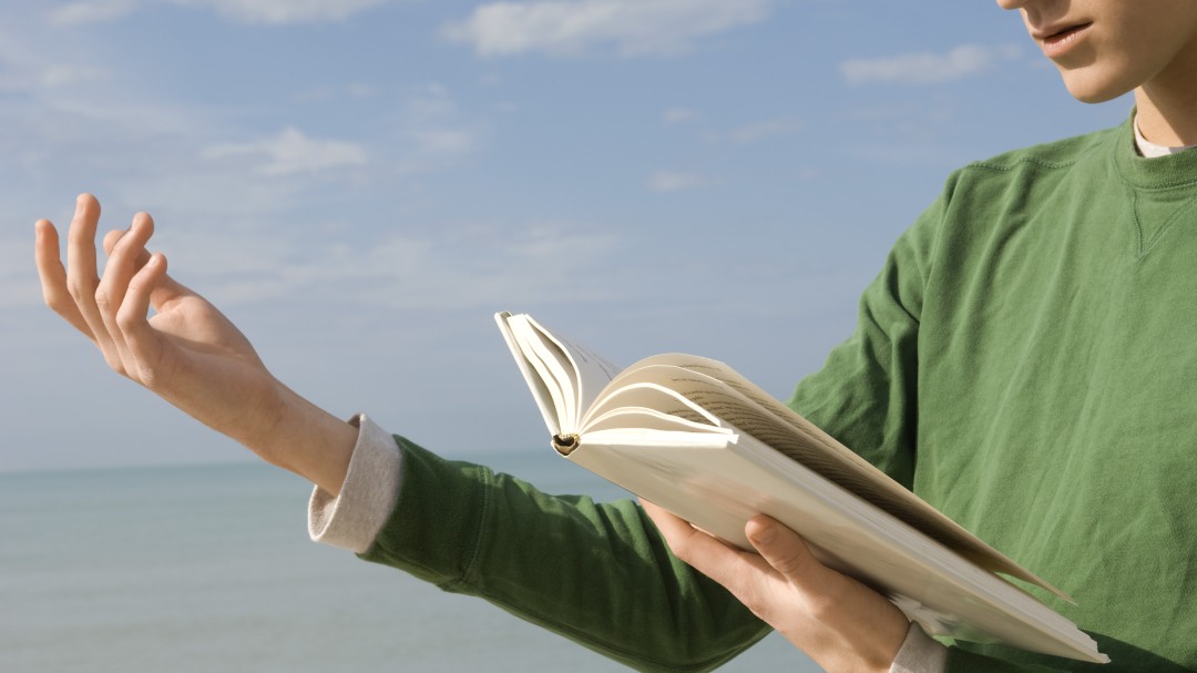 'PoesArte', poesía, música y literatura en Manzanares el Real