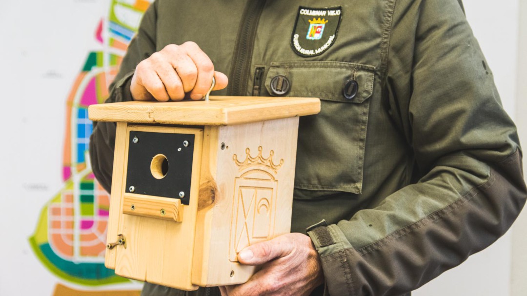 Colmenar Viejo instala cajas nido para aves y murciélagos para combatir la procesionaria