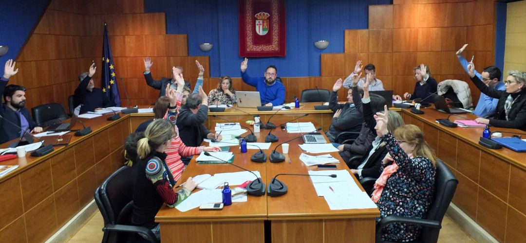 Pleno del mes de enero Pleno del mes de enero