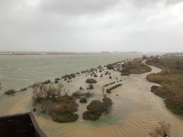 Inundaciones en la zona del delta del Ebro por la borrasca 'Gloria'. Inundaciones en la zona del delta del Ebro por la borrasca 'Gloria'.