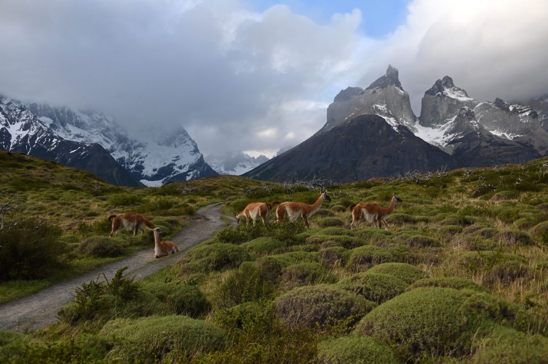 Panorámica de Torres del Paine, en la patagonia chilena. Panorámica de Torres del Paine, en la patagonia chilena.
