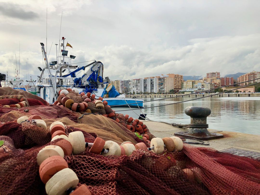 Lonja de Algeciras. Lonja de Algeciras.