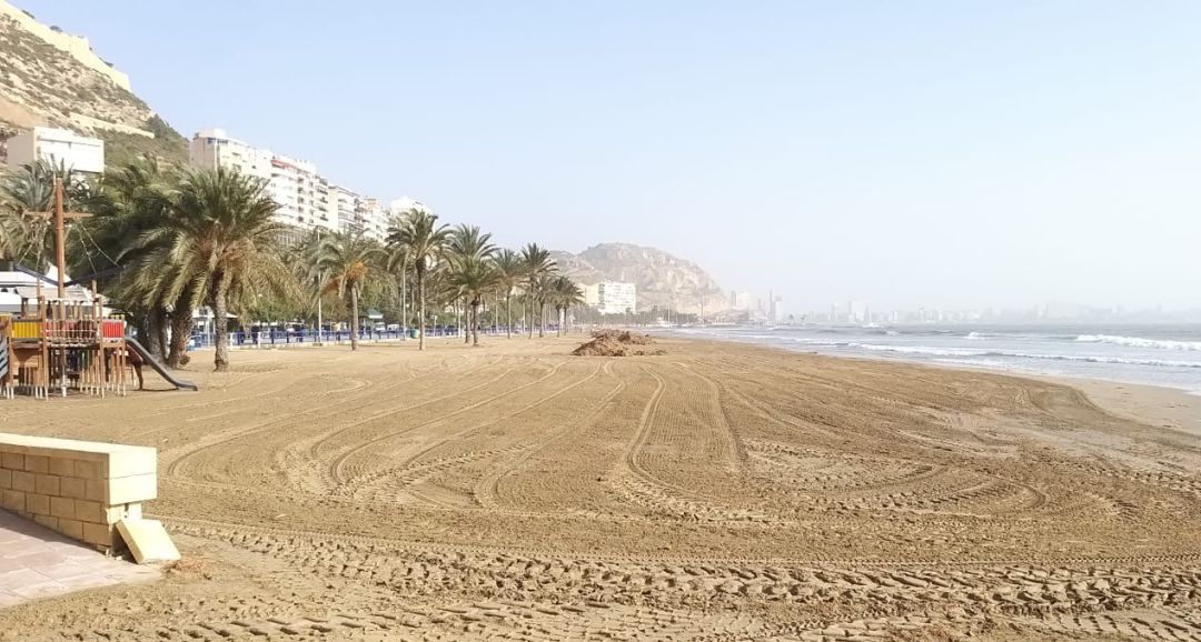La playa del Postiguet tras la actuación del dispositivo especial de limpieza La playa del Postiguet tras la actuación del dispositivo especial de limpieza