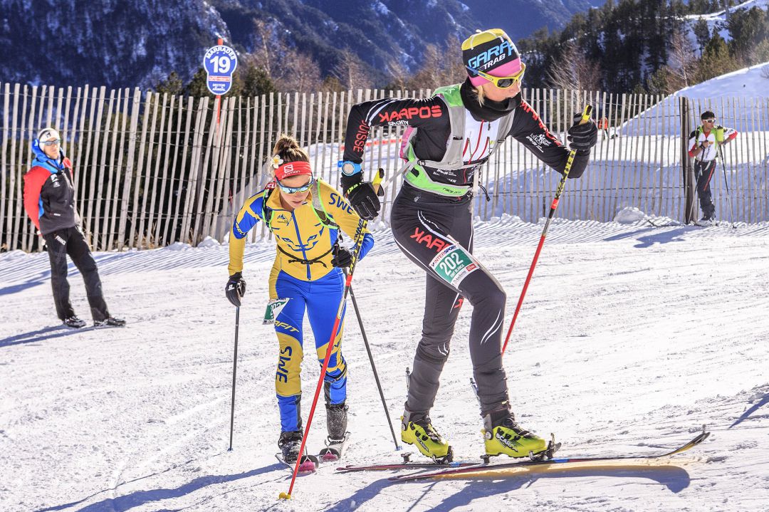 Esquiadores participant a la Vertical Race del 2016. Esquiadores participant a la Vertical Race del 2016.