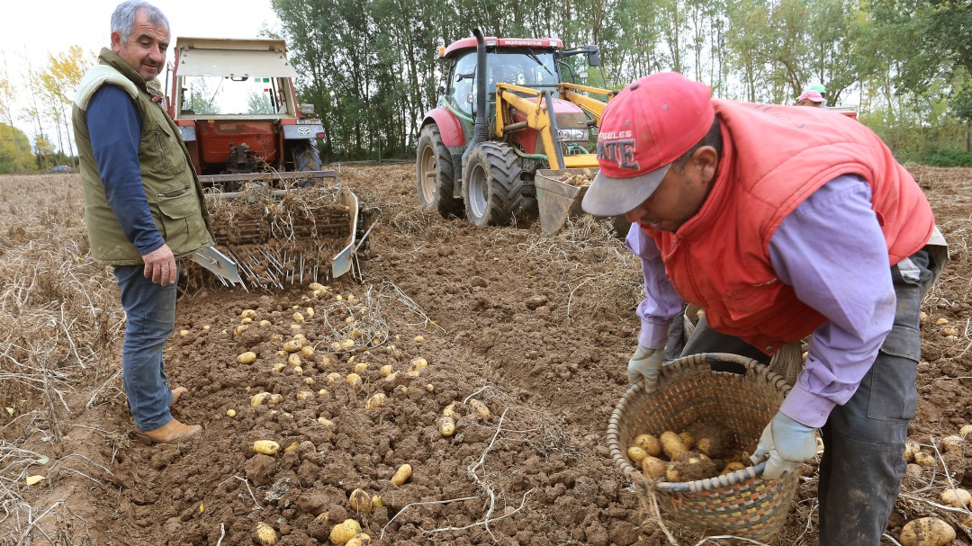 Entre 120.000 y 150.000 trabajadores se beneficiarán en la comunidad de la subida del salario mínimo