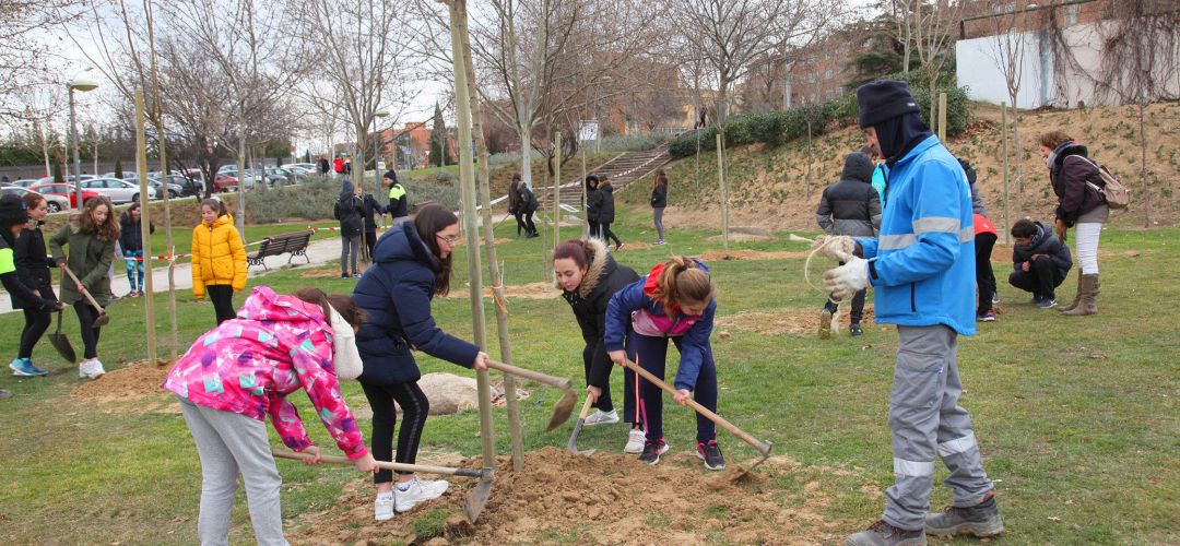 Alumnos del Instituto Ágora plantando árboles en Alcobendas Alumnos del Instituto Ágora plantando árboles en Alcobendas
