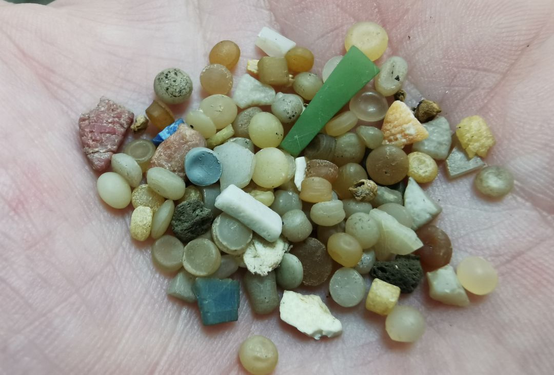 Algunos de los microplásticos hayados en las playas de Lanzarote y La Graciosa Algunos de los microplásticos hayados en las playas de Lanzarote y La Graciosa