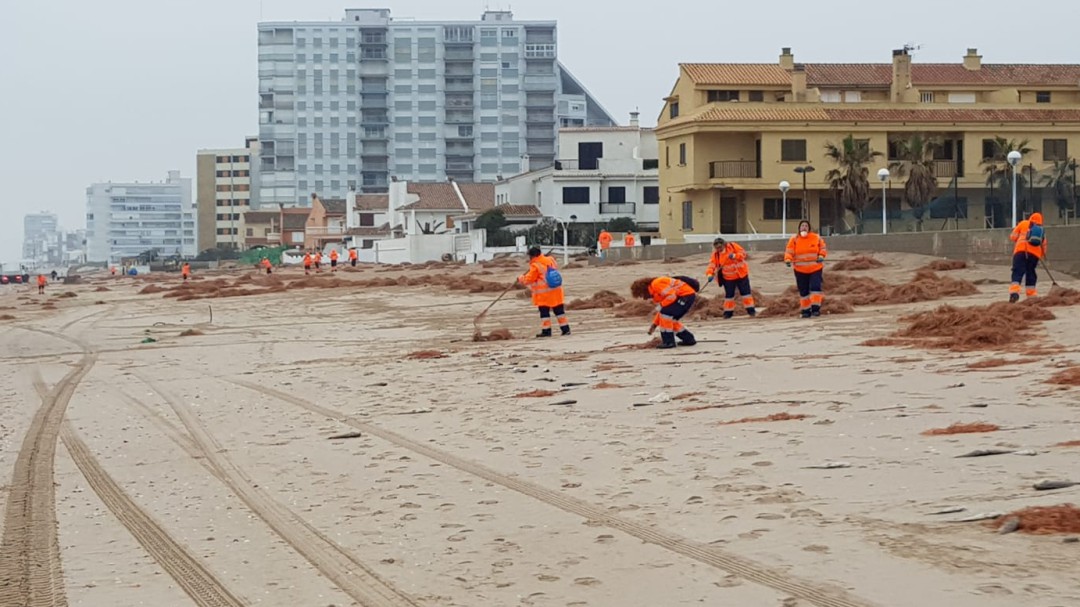 València duplica los operarios del servicio de limpieza de las playas para el fin de semana