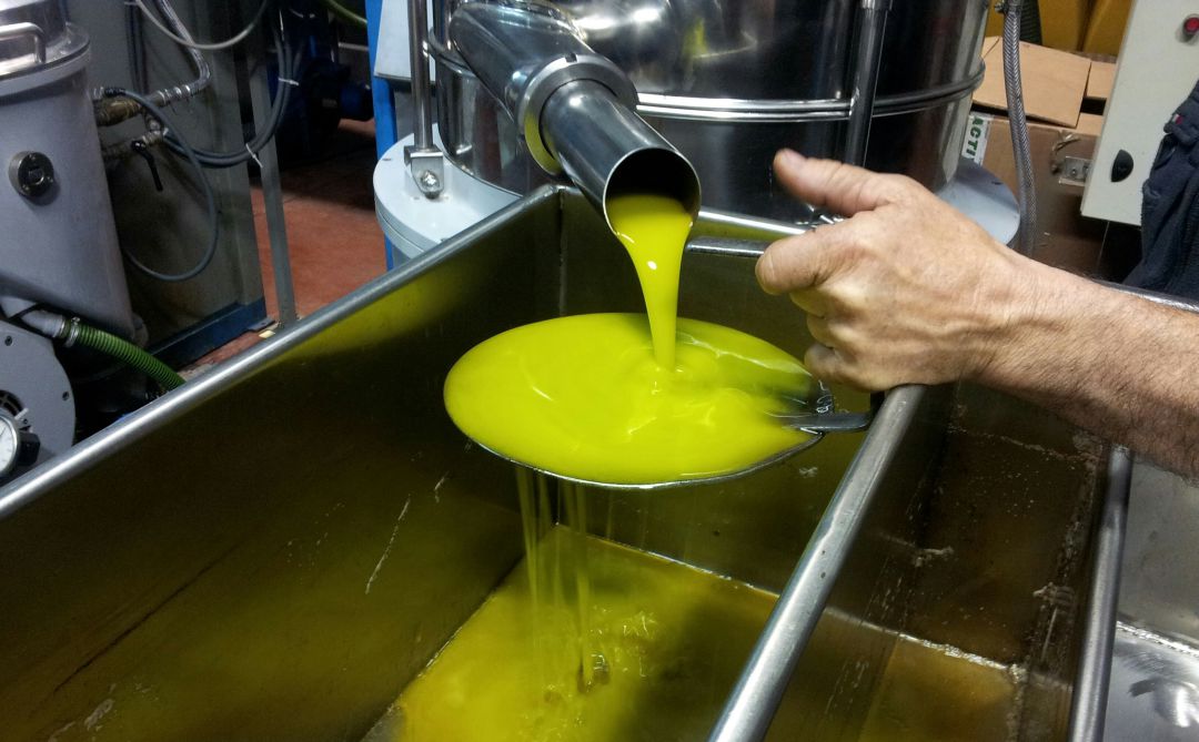 El PSOE se encontrará al lado de los agricultores en las movilizaciones que realice el sector por los bajos precios del aceite El PSOE se encontrará al lado de los agricultores en las movilizaciones que realice el sector por los bajos precios del aceite