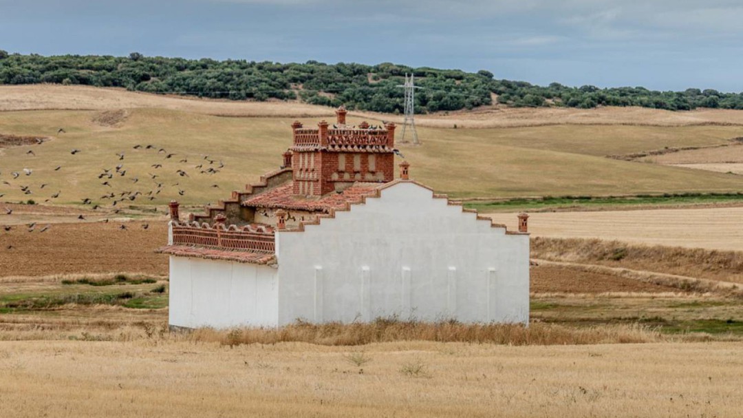 De vides y palomares