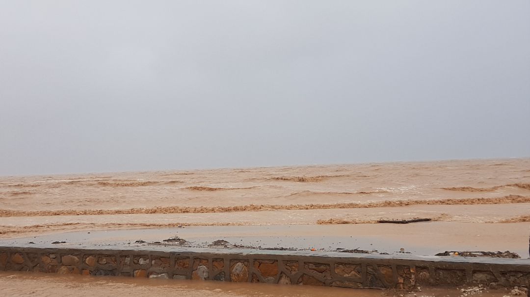 Foto de archivo tras las lluvias de diciembre de 2019 Foto de archivo tras las lluvias de diciembre de 2019