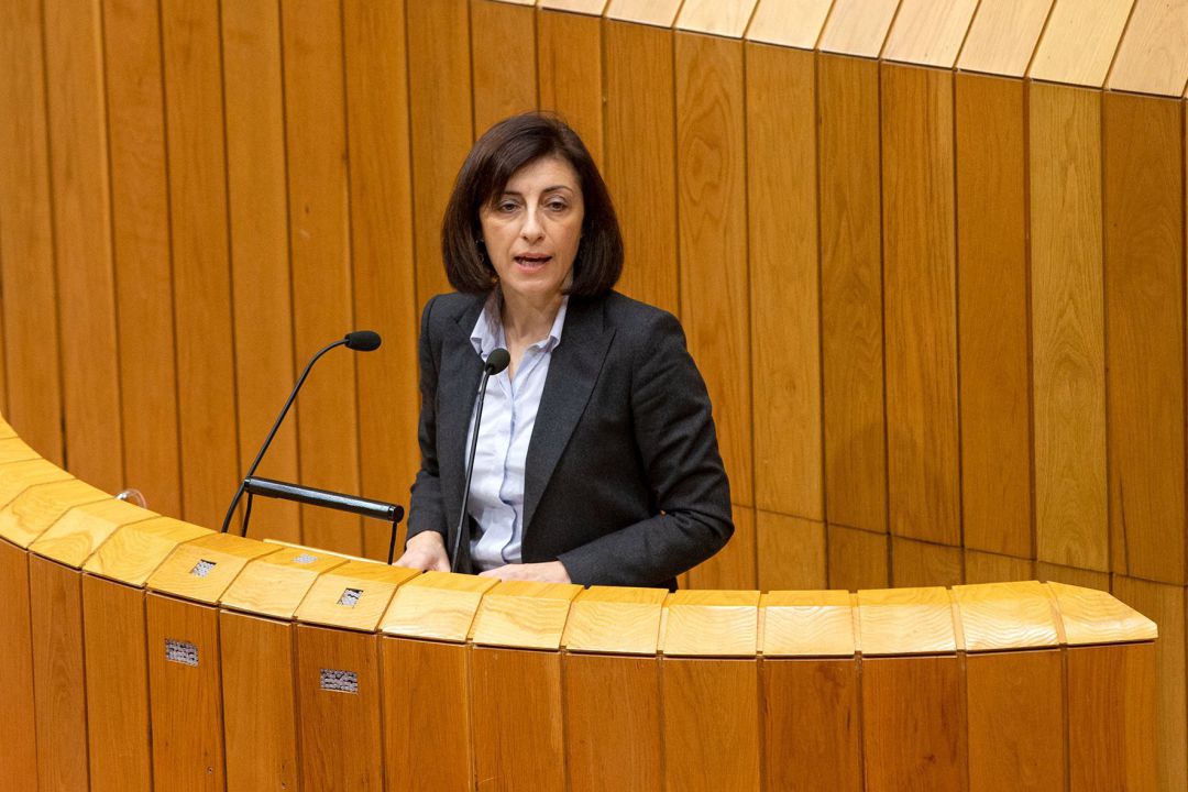 La conselleira Ángeles Vázquez comparece en el Parlamento La conselleira Ángeles Vázquez comparece en el Parlamento
