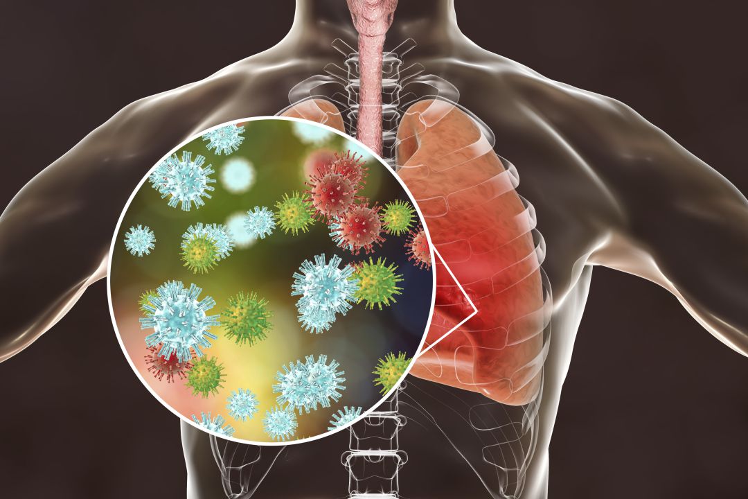 Imágen de coronavirus Imágen de coronavirus