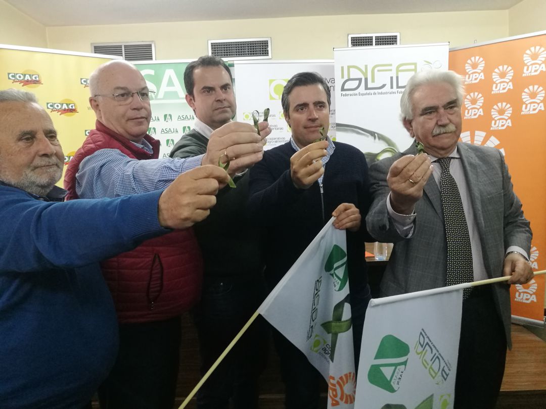 Representantes de Cooperativas Agro-alimentarias, Asaja, Coag, Upa e Infaoliva Representantes de Cooperativas Agro-alimentarias, Asaja, Coag, Upa e Infaoliva