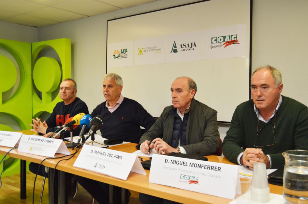 Los líderes provinciales de UPA, Cooperativas Agro-alimentarias de Granada, Asaja y COAG presentan las movilizaciones del campo granadino Los líderes provinciales de UPA, Cooperativas Agro-alimentarias de Granada, Asaja y COAG presentan las movilizaciones del campo granadino