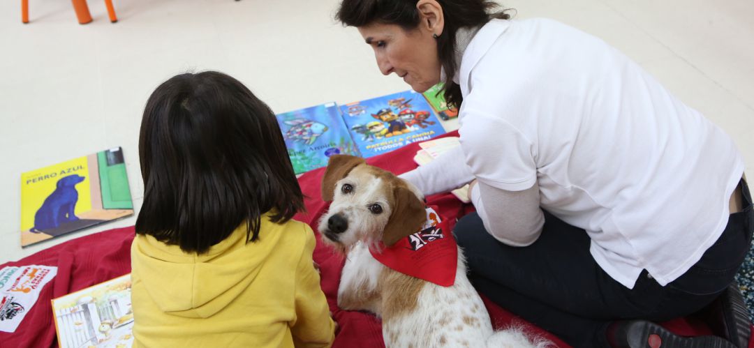 Los perros corrigen a los alumnos cuando se equivocan Los perros corrigen a los alumnos cuando se equivocan