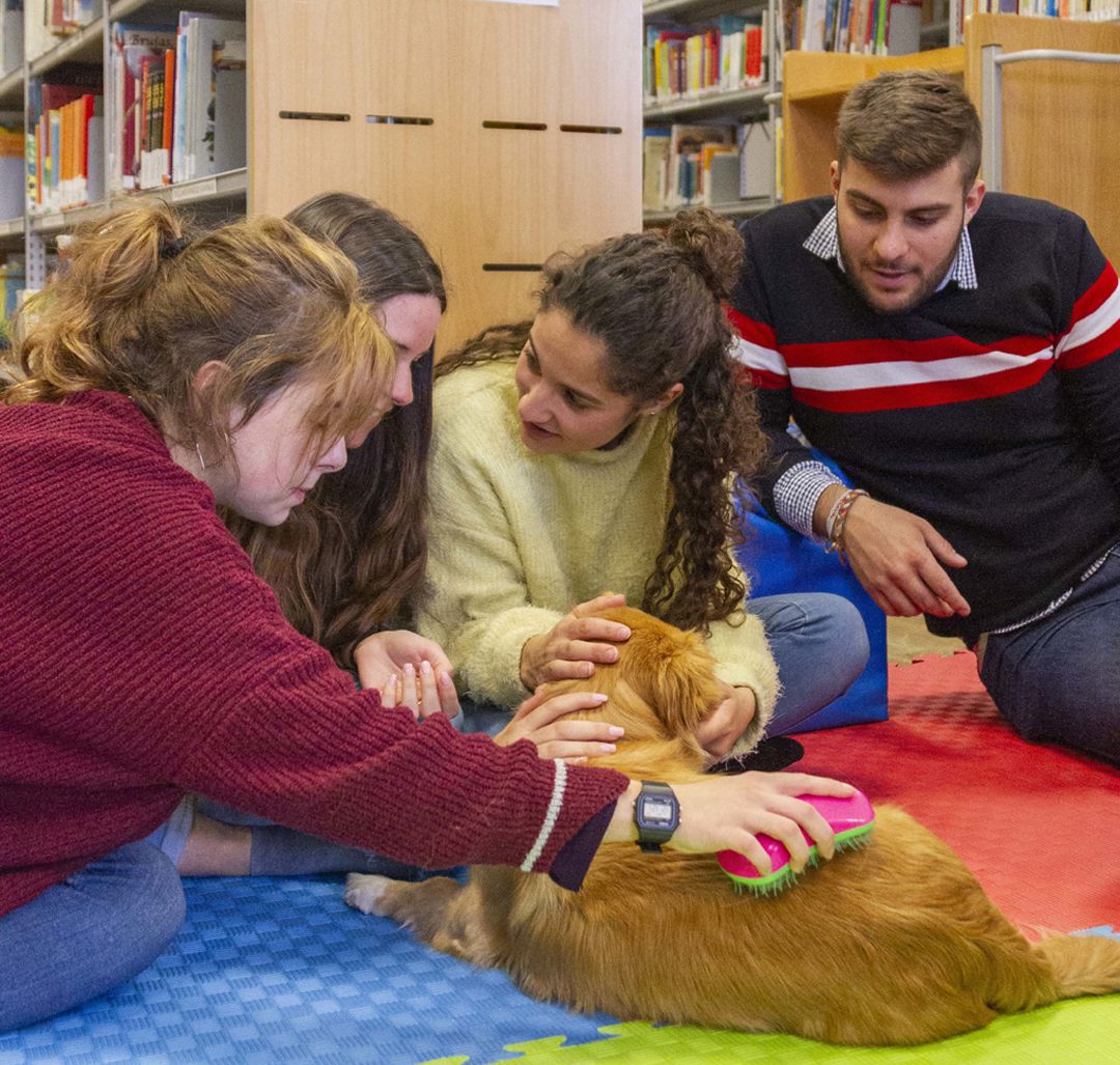 Estudiantes de la UGR en plena terapia con un perro Estudiantes de la UGR en plena terapia con un perro