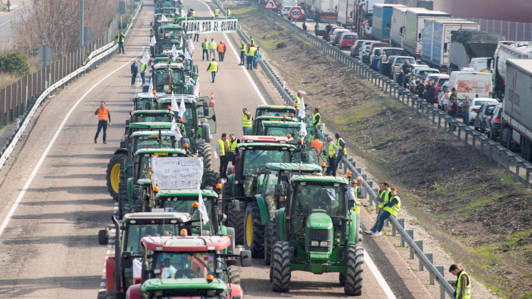 Multitudinario SOS por el aceite de oliva