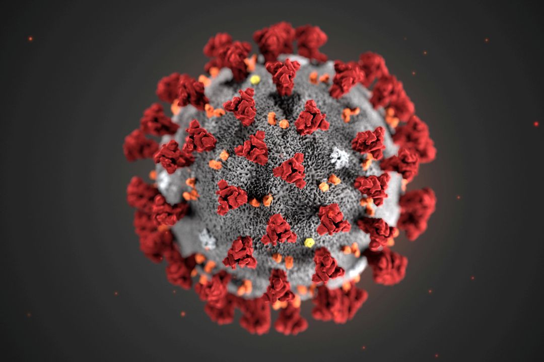 The ultrastructural morphology exhibited by the 2019 Novel Coronavirus The ultrastructural morphology exhibited by the 2019 Novel Coronavirus