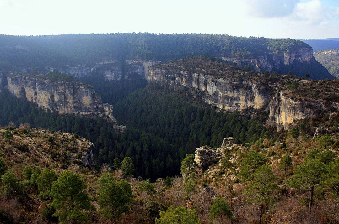 Paraje del Castillo de los Siete Condes en la Serranía de Cuenca, cerca del lugar donde la empresa Labrum Colmena cultiva la artemisa. Paraje del Castillo de los Siete Condes en la Serranía de Cuenca, cerca del lugar donde la empresa Labrum Colmena cultiva la artemisa.