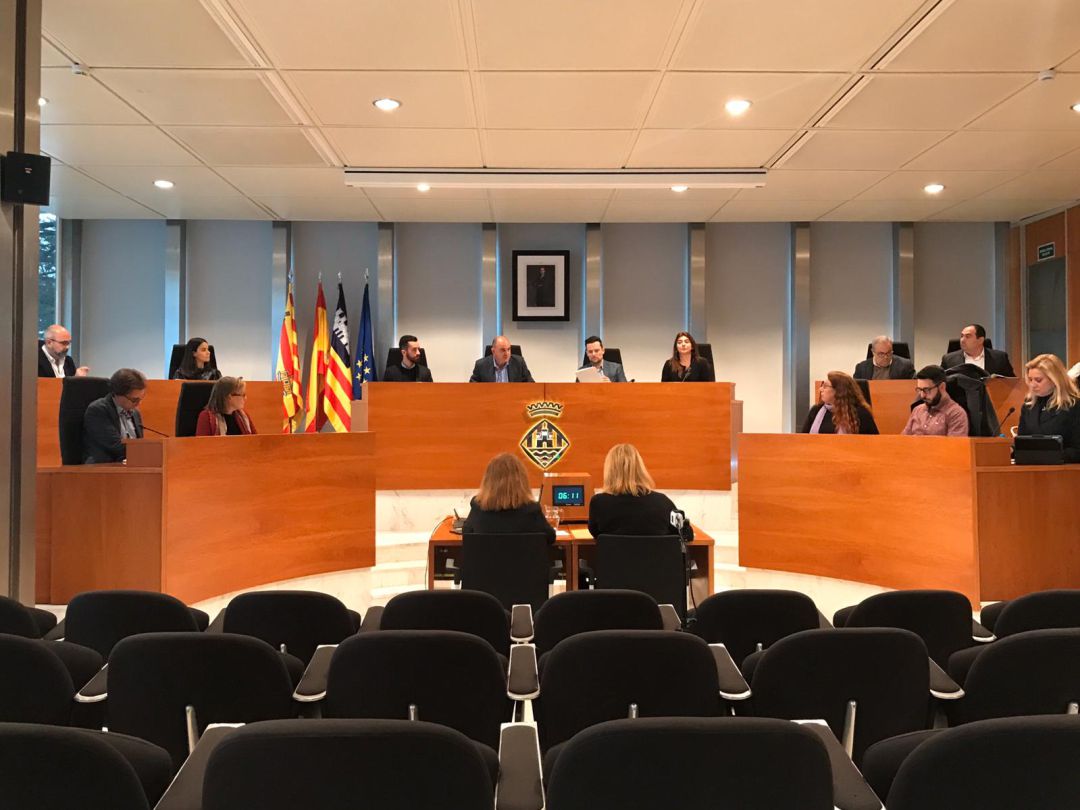 Imagen del pleno del Consell de Ibiza de este viernes Imagen del pleno del Consell de Ibiza de este viernes