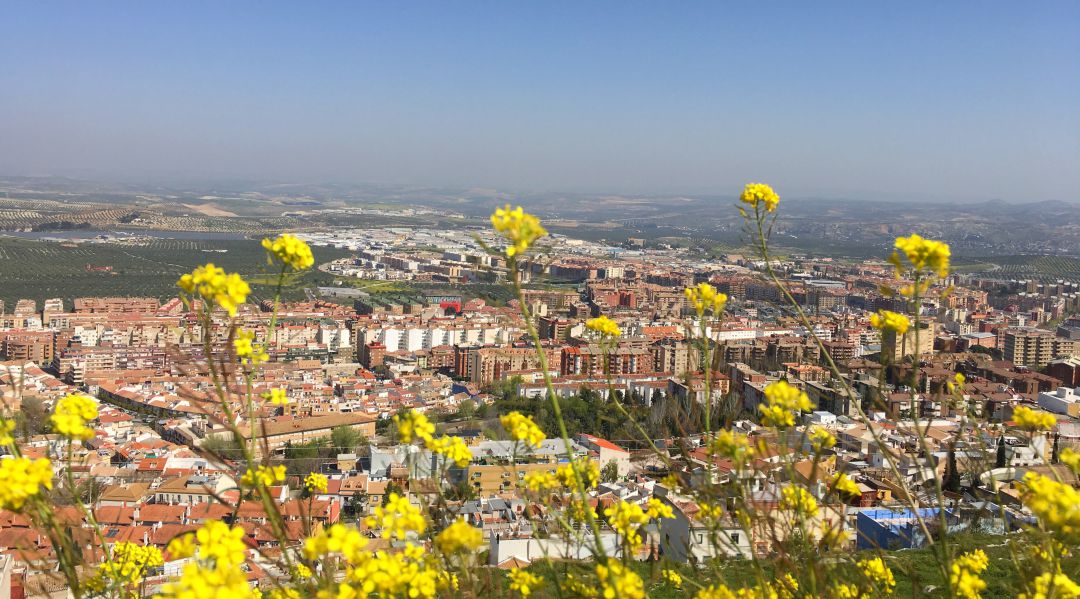 Vista de la ciudad de Jaén. Vista de la ciudad de Jaén.