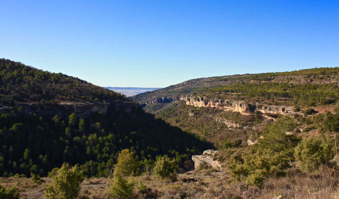 Hoz del Buey en Palomera (Cuenca). Hoz del Buey en Palomera (Cuenca).