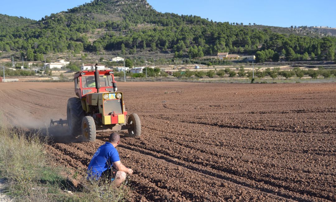 Imagen de un tractor trabajando en una parcela de la provincia de Alicante Imagen de un tractor trabajando en una parcela de la provincia de Alicante