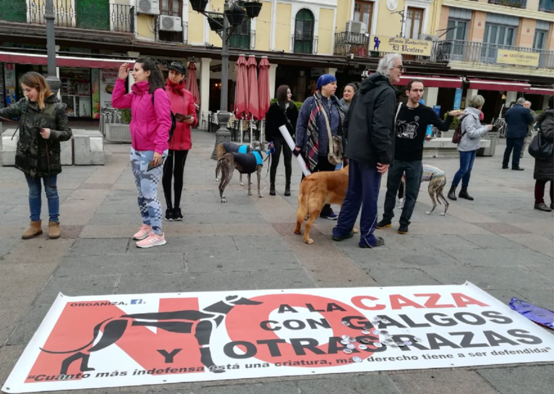 Vecinos y vecinas de Ciudad Real, con sus perros, en la manifestación contra la caza en la Plaza Mayor de la capital Vecinos y vecinas de Ciudad Real, con sus perros, en la manifestación contra la caza en la Plaza Mayor de la capital